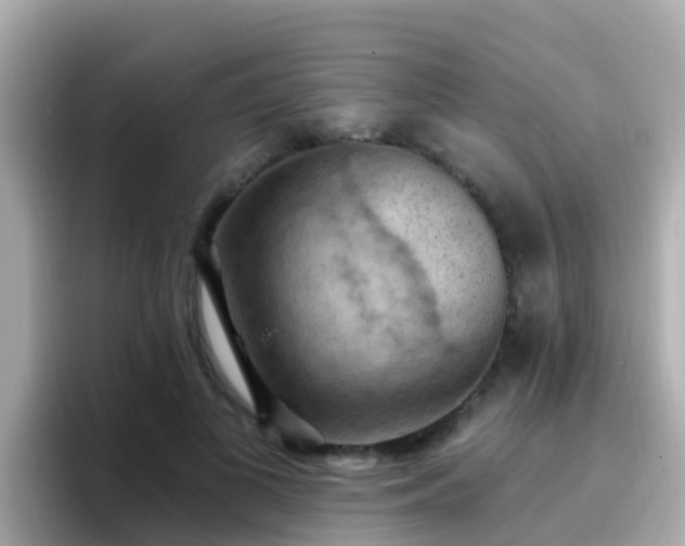X0000096680693200802121212