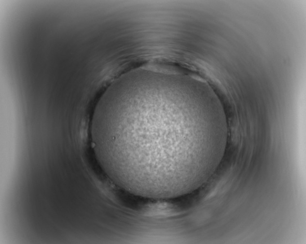 X0000096680695200802121212