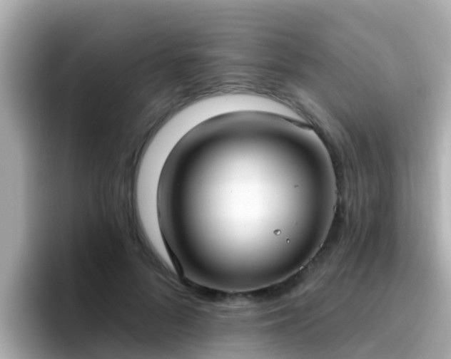 X0000096680696200802121212
