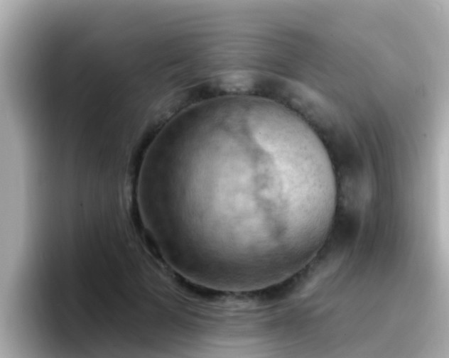 X0000096680697200802121212