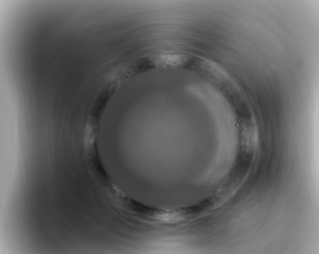 X0000096680701200802121212