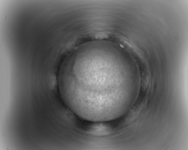 X0000096680704200802121212