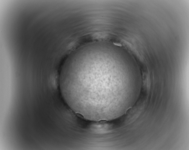 X0000096680712200802121212