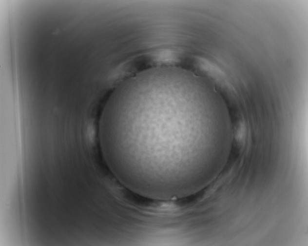 X0000096680715200802121212