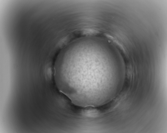 X0000096680716200802121212