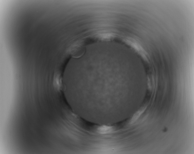 X0000096680718200802121212