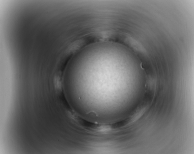 X0000096680719200802121212