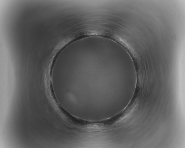 X0000096680721200802121211