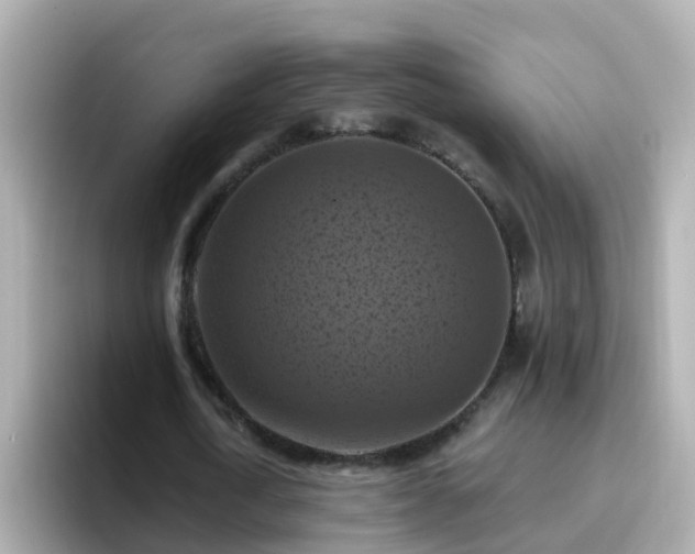 X0000096680722200802121211