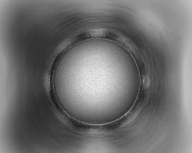 X0000096680725200802121211