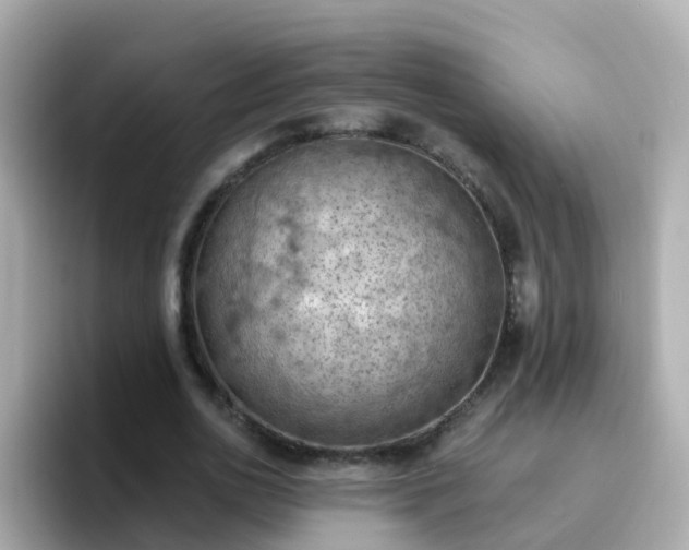 X0000096680726200802121211