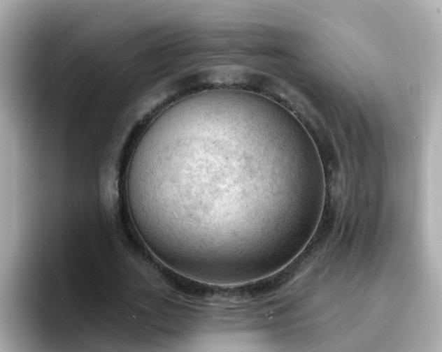 X0000096680727200802121211