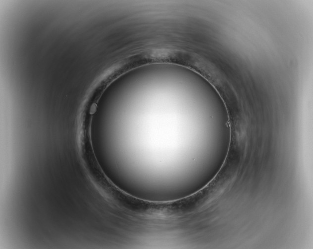X0000096680728200802121211