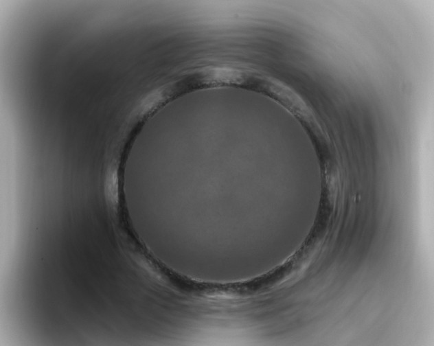 X0000096680729200802121211