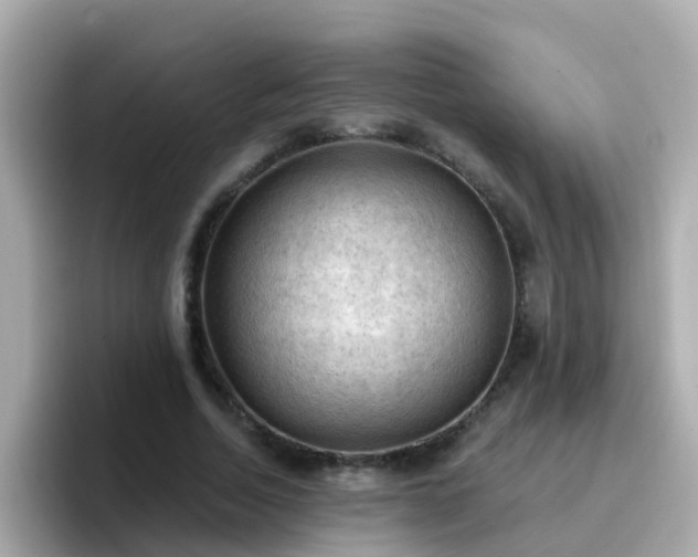 X0000096680730200802121211