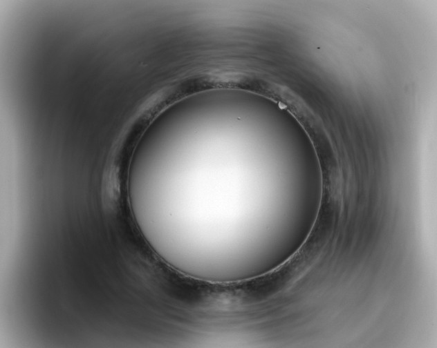 X0000096680731200802121211