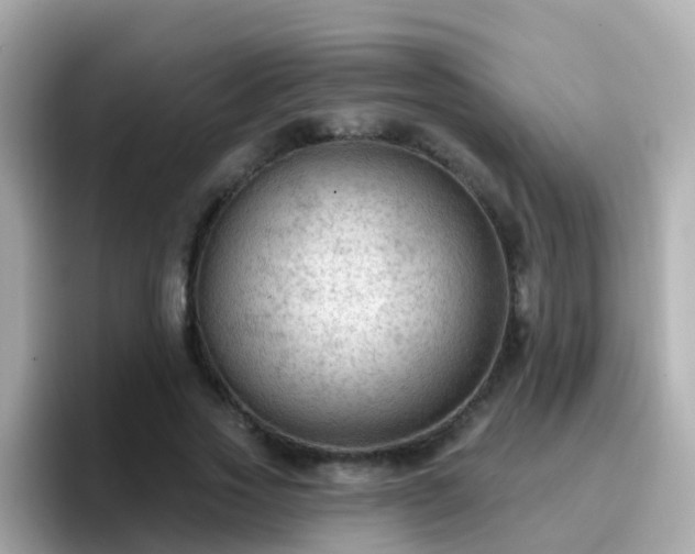 X0000096680733200802121211