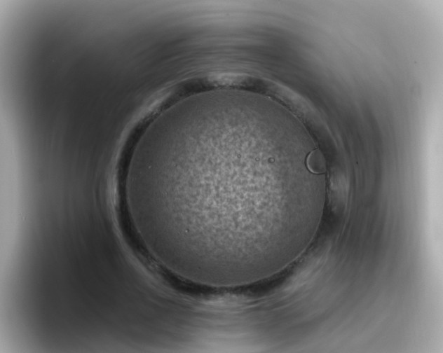 X0000096680734200802121211