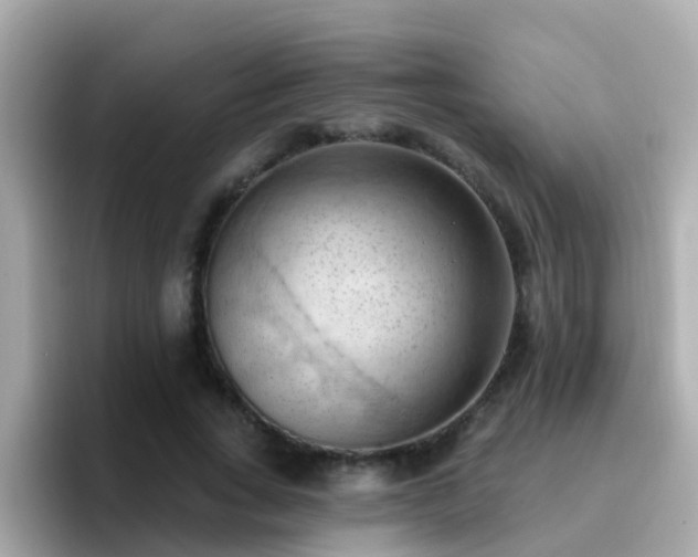 X0000096680735200802121211