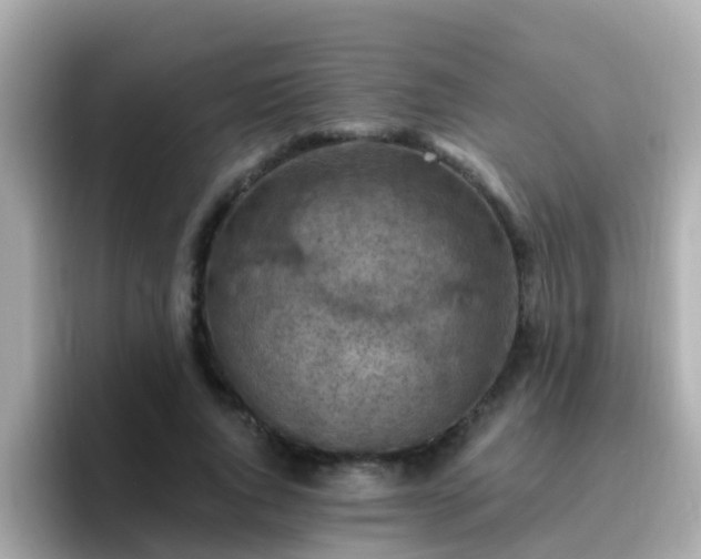 X0000096680736200802121211