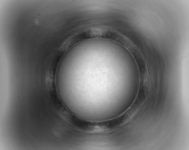X0000096680737200802121211
