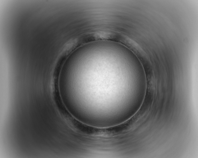 X0000096680738200802121211