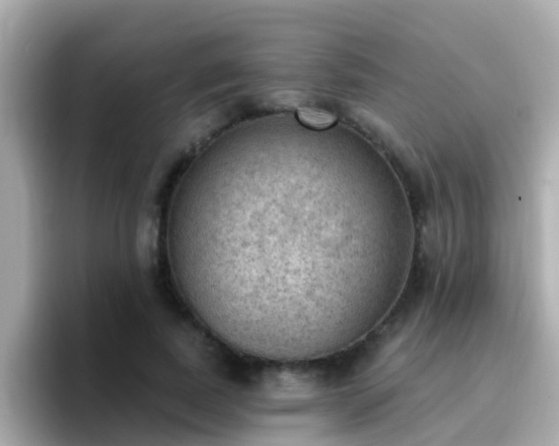 X0000096680739200802121211