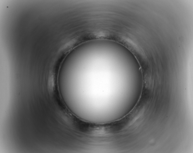 X0000096680740200802121211