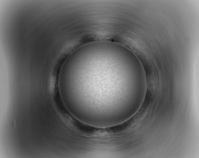 X0000096680742200802121211
