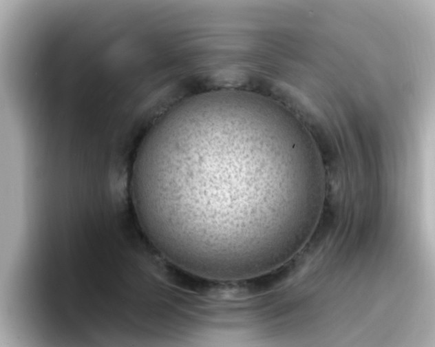 X0000096680745200802121211
