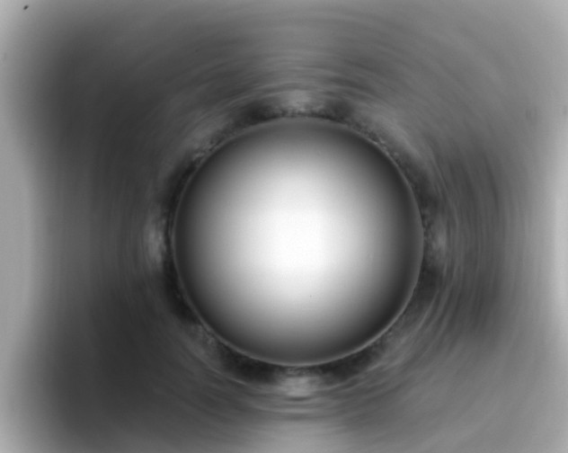 X0000096680746200802121211