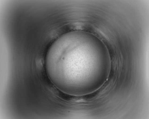 X0000096680747200802121211