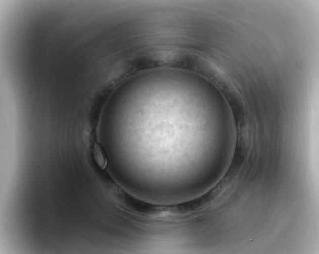 X0000096680750200802121211