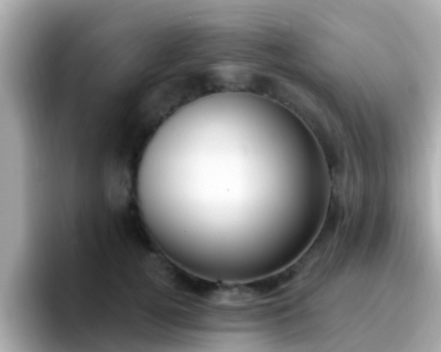 X0000096680752200802121211