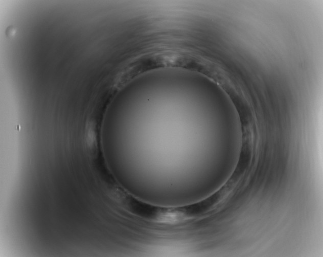 X0000096680754200802121211