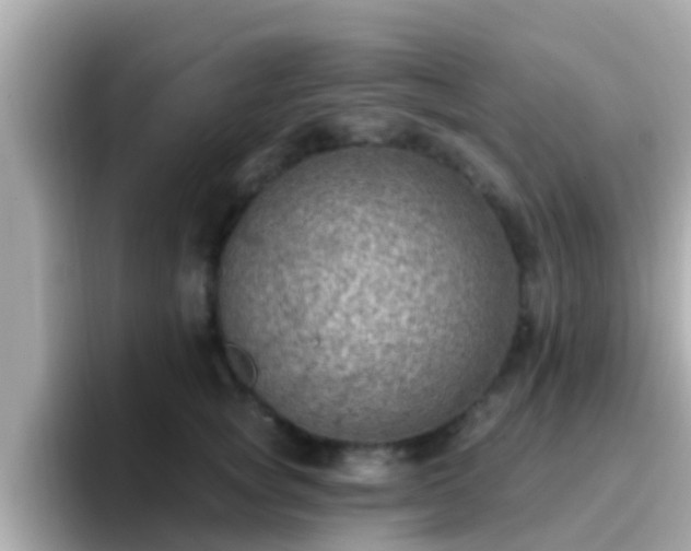 X0000096680757200802121211