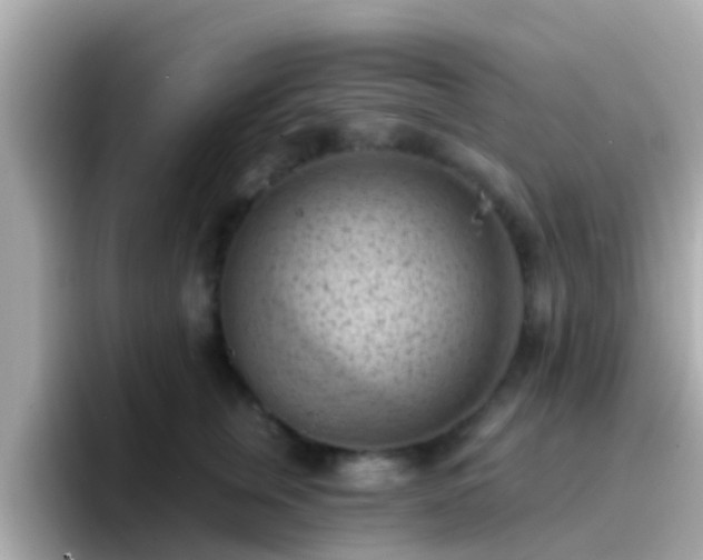 X0000096680759200802121211