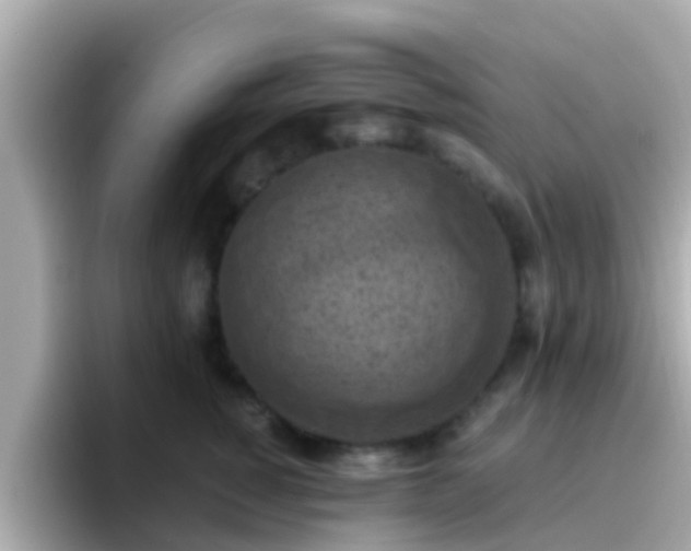 X0000096680760200802121211