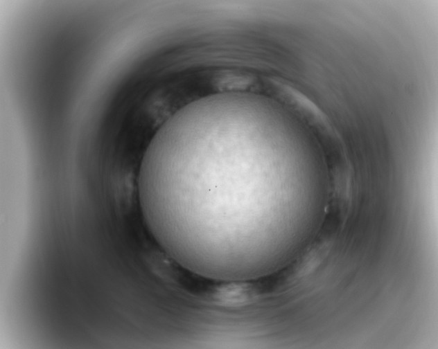 X0000096680761200802121211