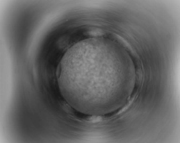 X0000096680762200802121211