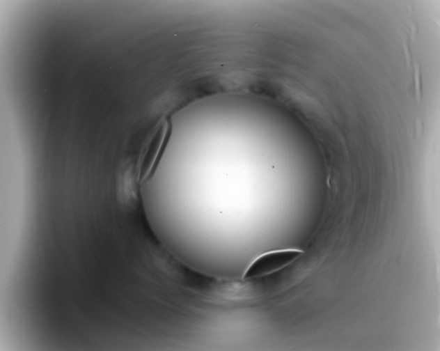X0000096680768200802121211