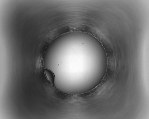 X0000096680770200802121211