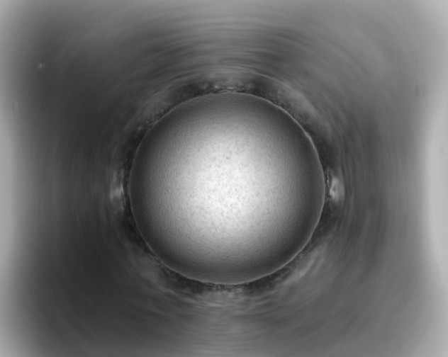 X0000096680771200802121211