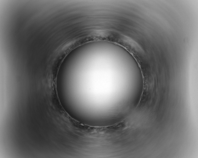 X0000096680773200802121211