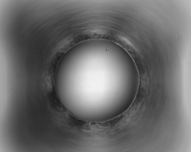 X0000096680774200802121211