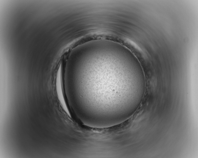 X0000096680775200802121211