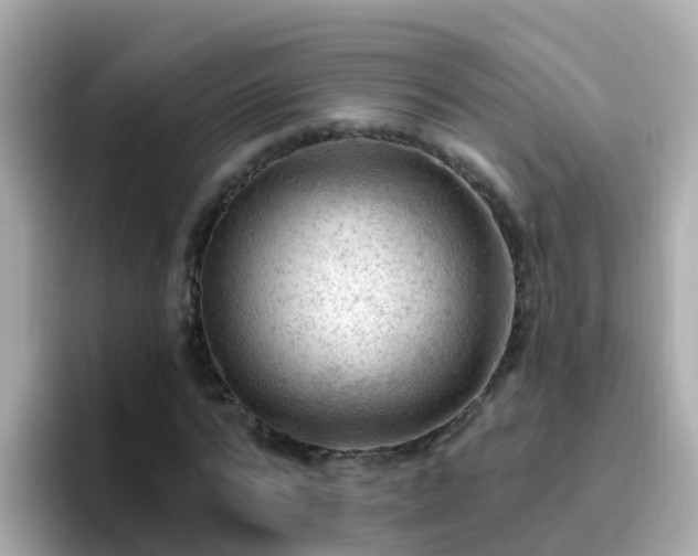 X0000096680776200802121211