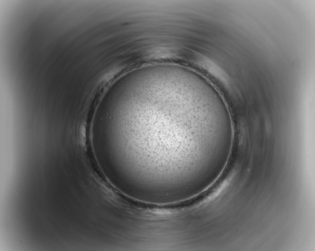 X0000096680777200802121211