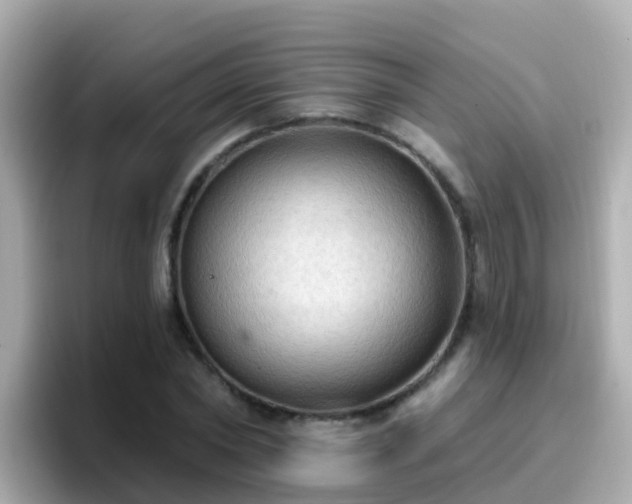 X0000096680782200802121211