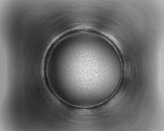 X0000096680783200802121211